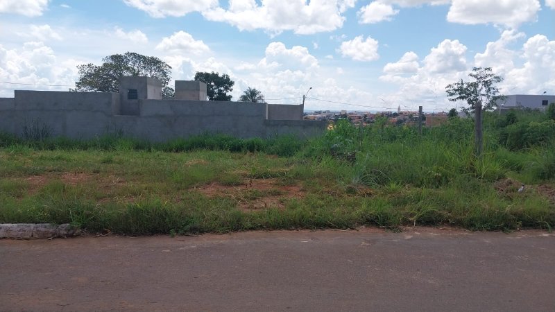 Rua das Flores Qd 07 Lt 23